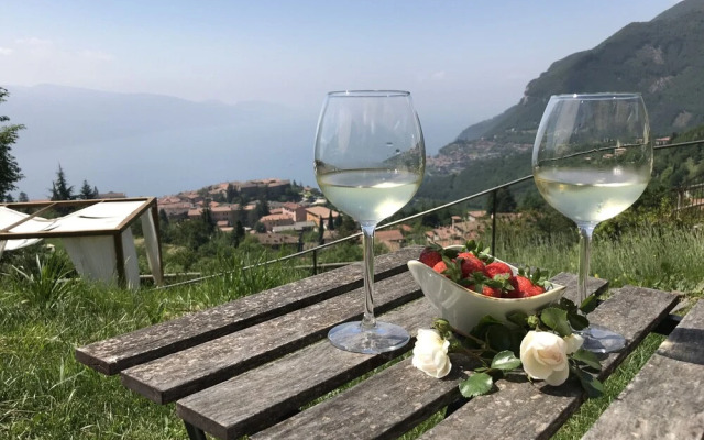 BnB Borgo le Vigne - La Vinaccia