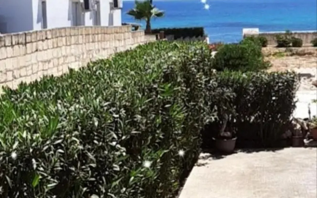 Casa carmen