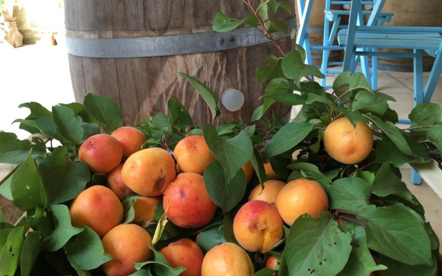 Corte dei Salentini Bed & Breakfast