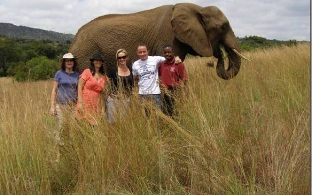 Avon Road Guest House & Tours
