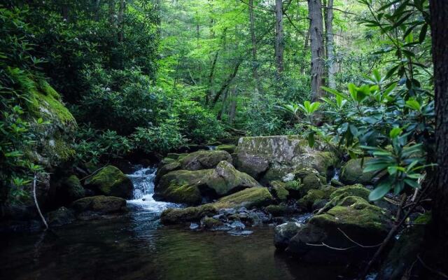 Tentrr - A Creek Runs Through It