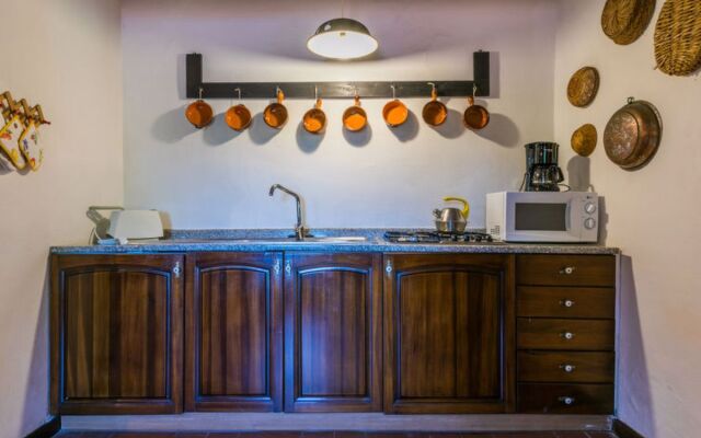 Bardeggiano - Caterina 5 (COL241)