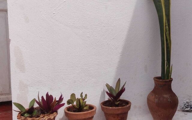 Rooftop Studio