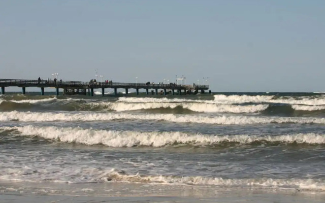 Seeschwalbe in Villa Sirene, Binz