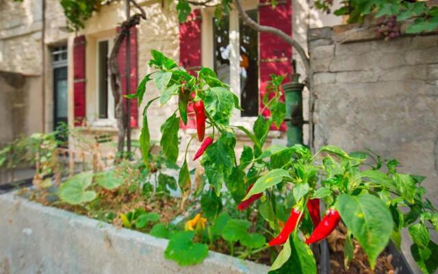 Mini maison studio Ancienne Rénovée +Parking