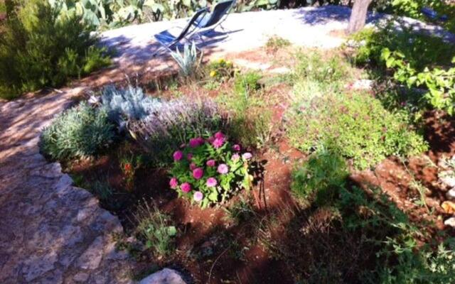 Holiday Home Casa Giuliveto