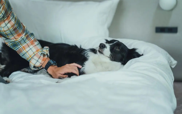 SANU 2nd Home Hakuba1st