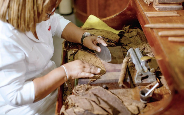 Meliá Cohiba