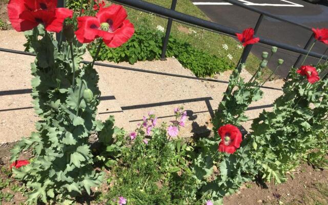 Harmony B&B & Suites