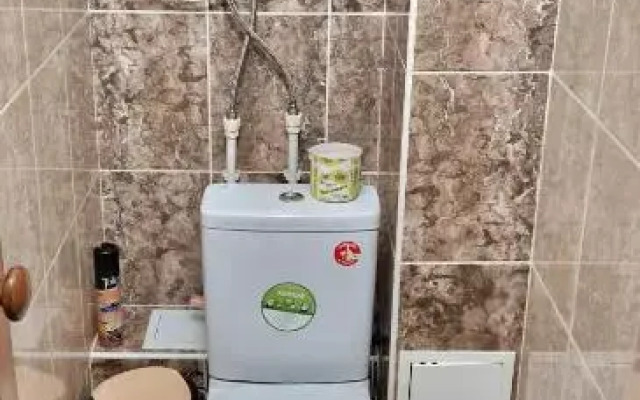 2 комнатная квартира пушкина/абая