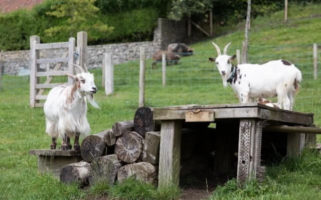 Upper Vobster Farm