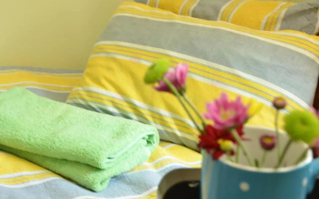 Zaya Guest House