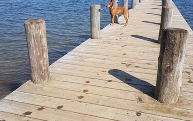 Warias Hotel & Restaurant