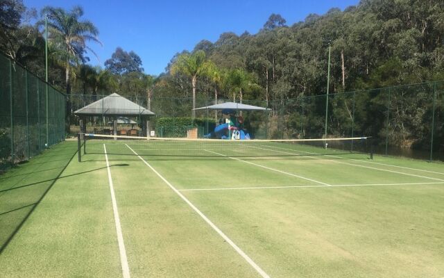 Blackwattle at Barrington Tops