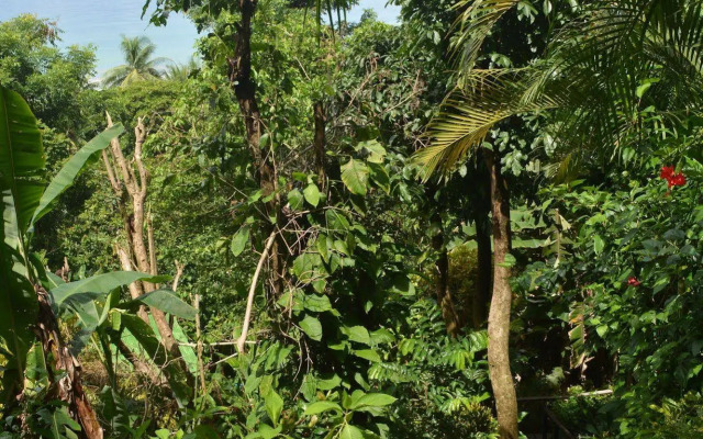 The Lookout Inn Lodge