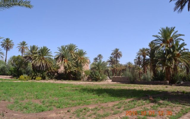 Gîte Kasbah La palmeraie