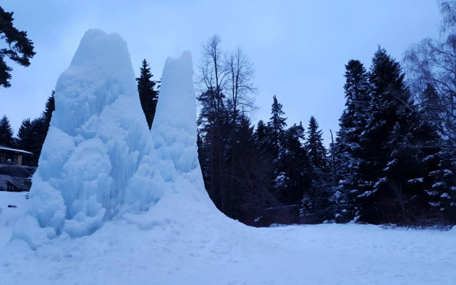 Pinewood ANG luxurious apartment A43, Borovets Gardens