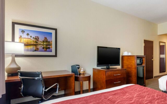 Comfort Inn & Suites St. Pete - Clearwater International Airport