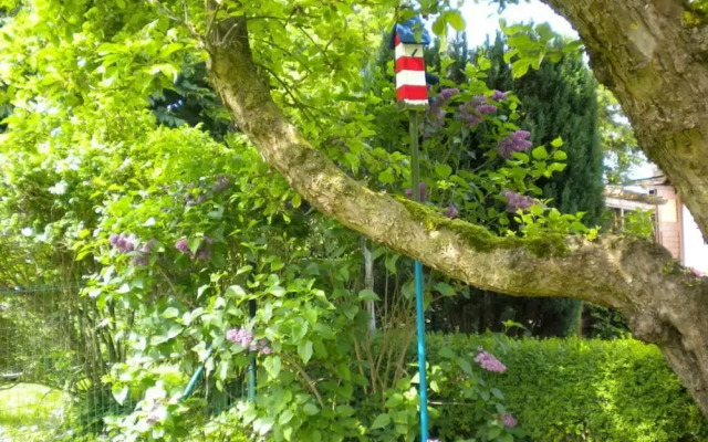 Strandnelke Modern Retreat