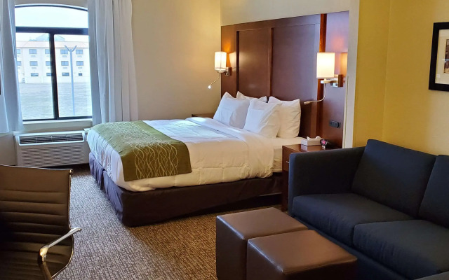 Comfort Inn & Suites Decatur - Forsyth