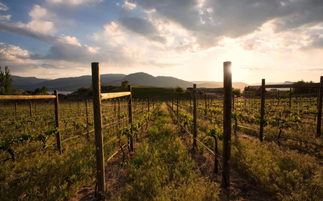 Quidni Estate Winery