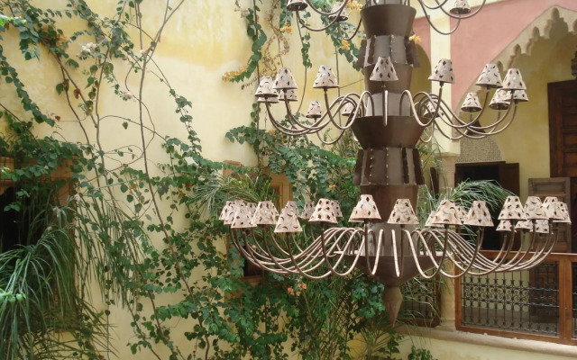 Riad Marlinea