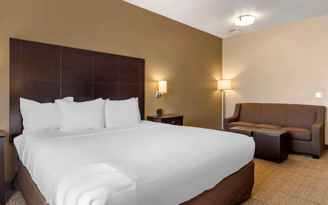 Comfort Inn And Suites Paw Paw