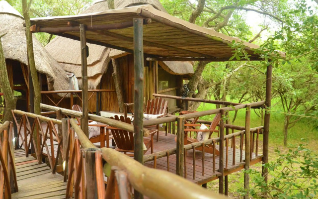Pezulu Tree House Lodge