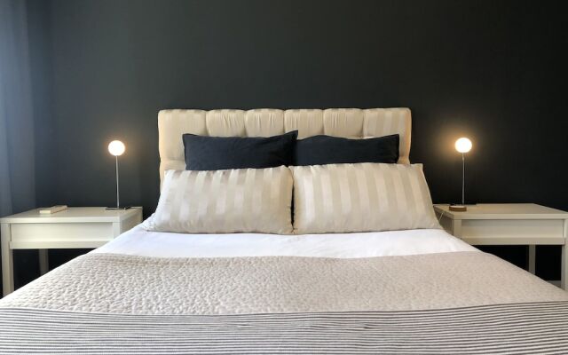 Deluxe city center flat