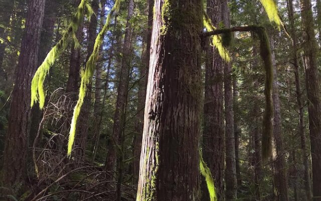 The Perch at Moon Dance