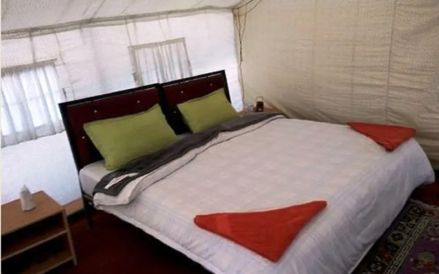 TIH The Regal Camp