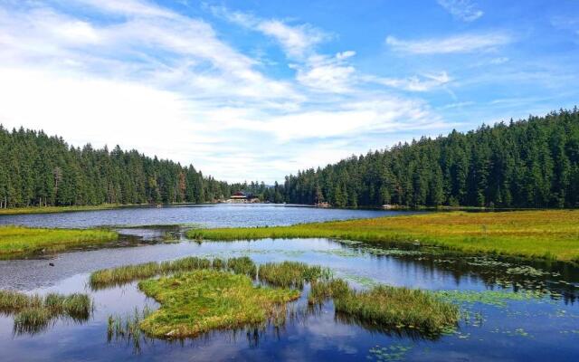 Arber Apartments - Zwieslerwaldhaus
