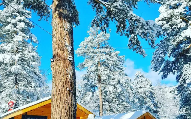 Solu Chalet (Солу шале)