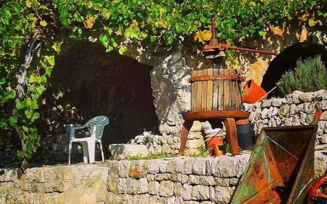 Il Giardino Di Agostino