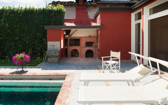 MIRTILLO di Home Hill