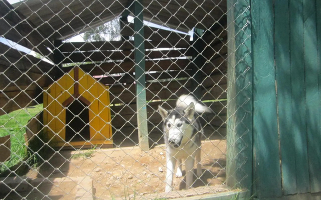 Villa de Libertad DF