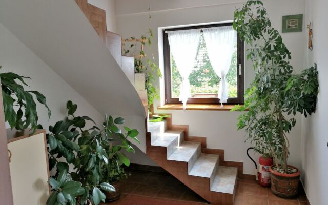 House Marica