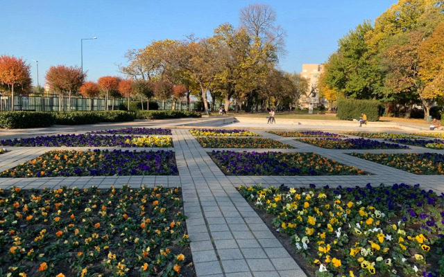 Budapest Downtown in Style