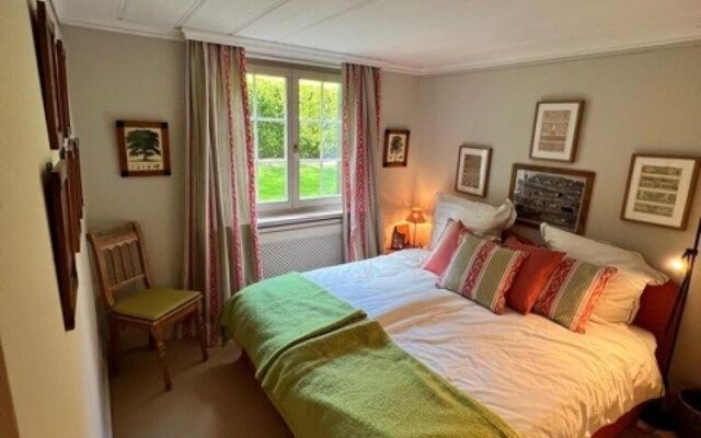 Gstaad Switzerland Skiing From Exclusive Rougemont Chalet Apartment