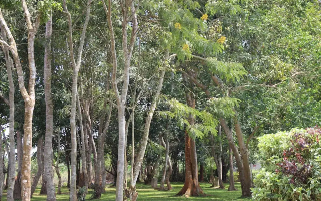 Forest Park Resort