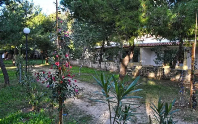 Camping Baia Falcone