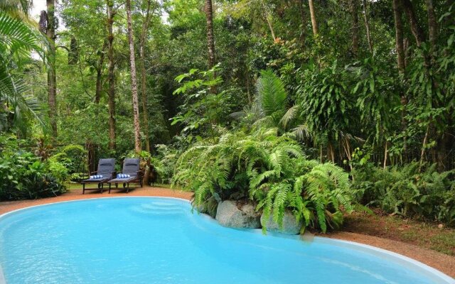 Wait A While Daintree