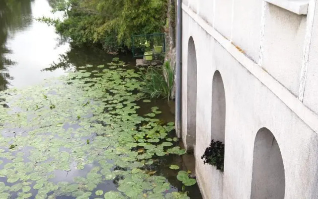 Le Jardin et Moulin sur la Moine