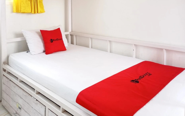 RedDoorz Hostel @ Luna Bunkbed Malioboro – Guest Rooms – Yogyakarta