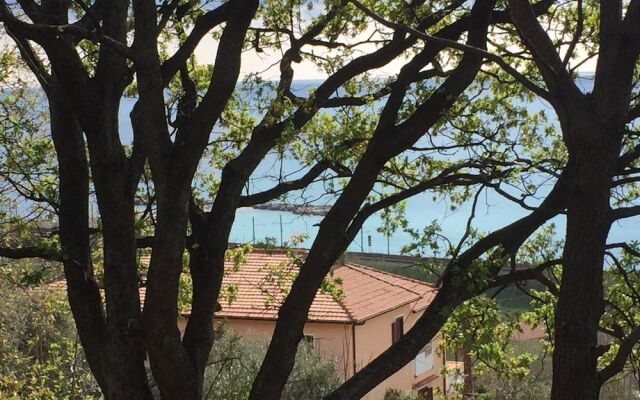 B&B Colle degli Ulivi
