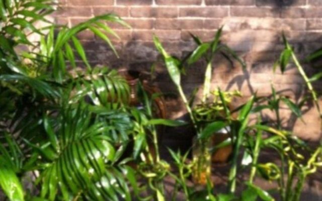 Pingyao Hongjintai Folk Inn