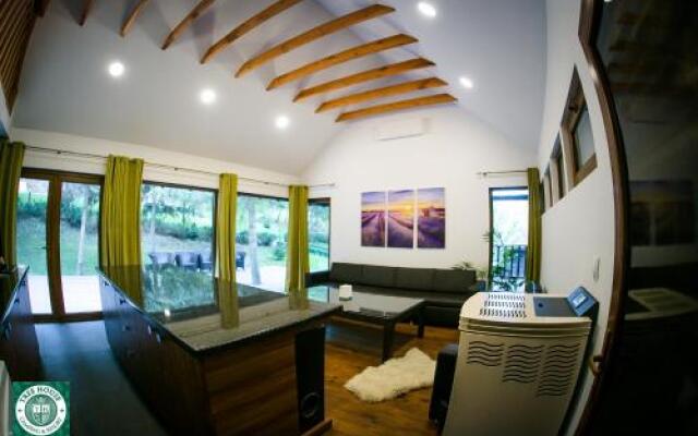 Tree House
