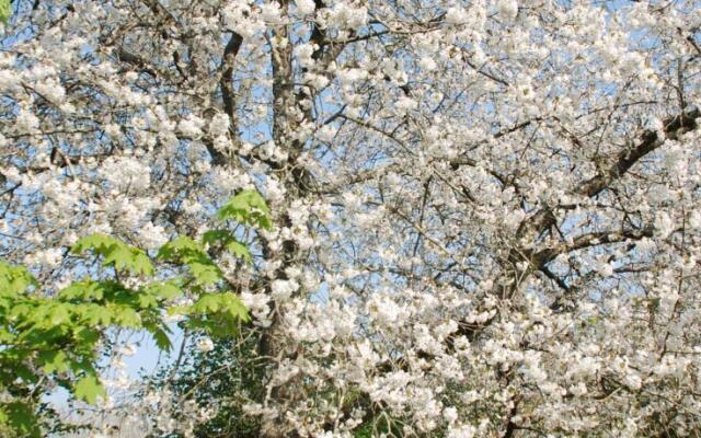 Les Ecoles Buissonnières
