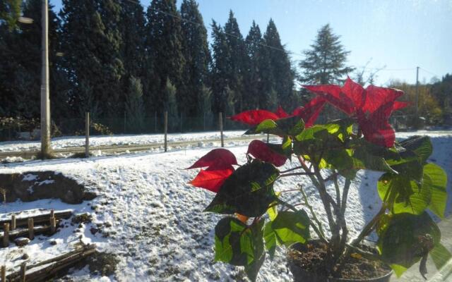 Agriturismo Tenuta Bettozza