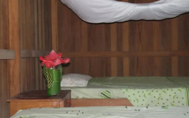 Tambopata Guest House